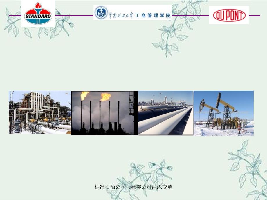 标准石油公司与杜邦公司组织变革_第1页