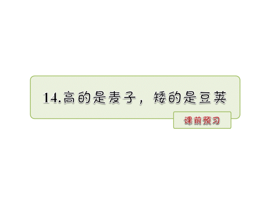 六年级上语文课件14.高的是麦子矮的是豆荚课前预习长版_第1页