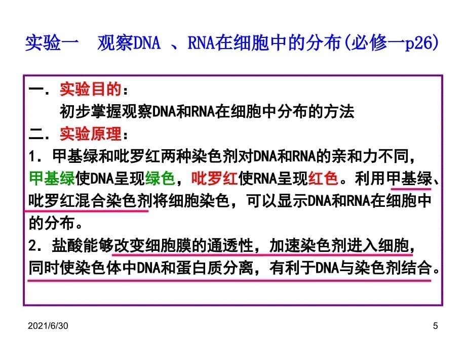 高三生物二轮复习专题一--实验专题(共99张PPT)_第5页