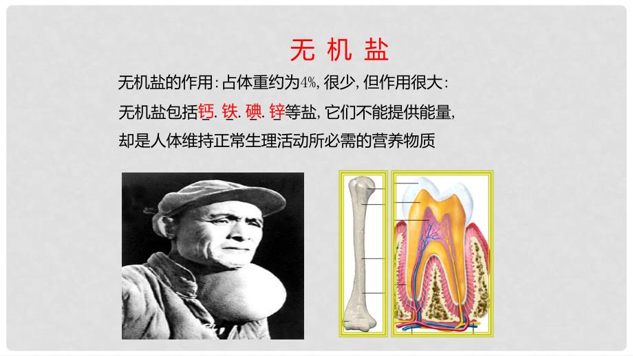 九年级科学上册 第4章 代谢与平衡 4.1 食物与营养 第2课时 七大类营养素的作用与膳食平衡教学课件 （新版）浙教版_第4页