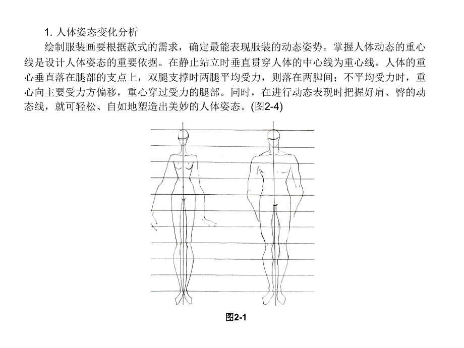 服装画第二章人体结构表现ppt课件_第3页