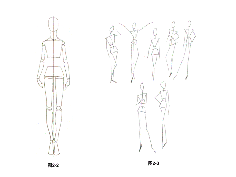 服装画第二章人体结构表现ppt课件_第4页