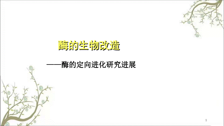 酶的生物改造课件_第1页