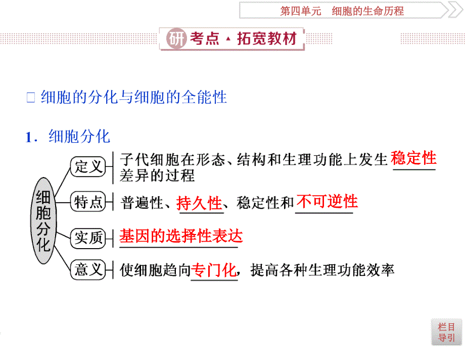 2 第13讲　细胞的分化、衰老、凋亡及癌变_第3页