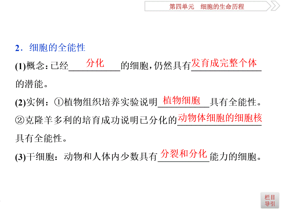 2 第13讲　细胞的分化、衰老、凋亡及癌变_第4页