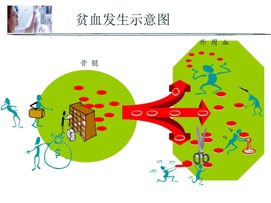 贫血概述最新PPT课件_第2页