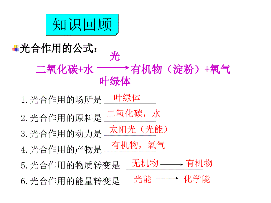 生物复习提纲4—7_第3页