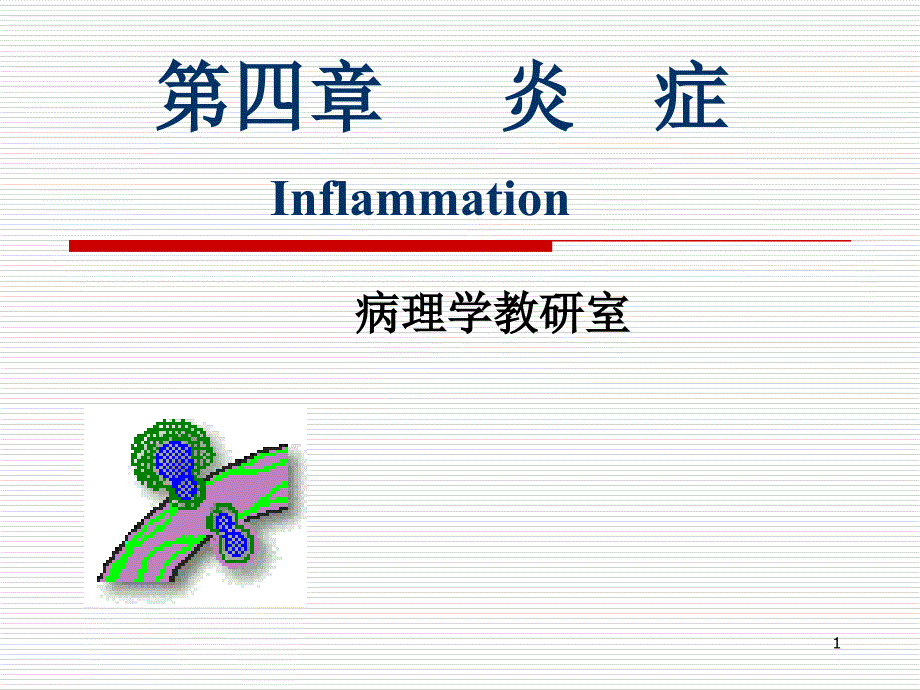 病理学炎症PPT参考幻灯片_第1页