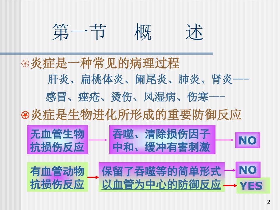 病理学炎症PPT参考幻灯片_第2页