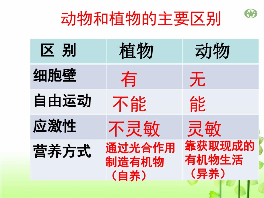 5.1.1腔肠动物和扁形动物_第2页