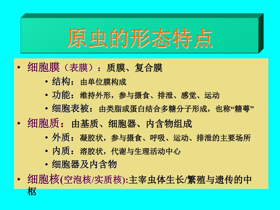 b寄生虫学第十讲原虫概论阿米巴_第4页