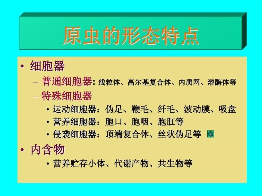 b寄生虫学第十讲原虫概论阿米巴_第5页