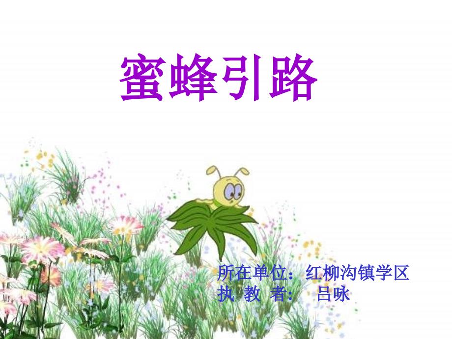 蜜蜂引路吕咏_第1页