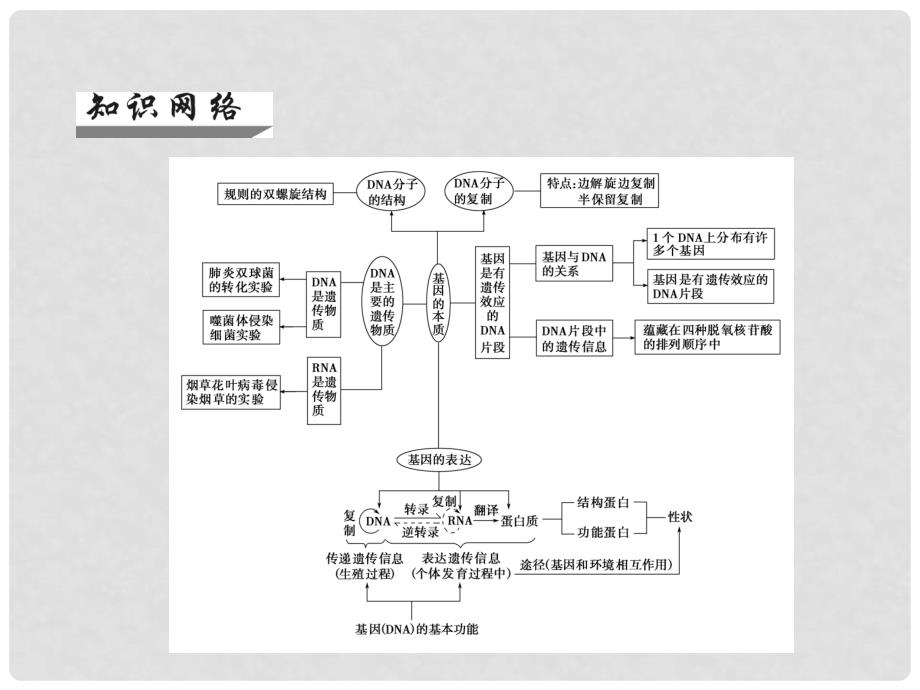 高考生物一轮总复习 整合提升课件6 新人教版_第2页