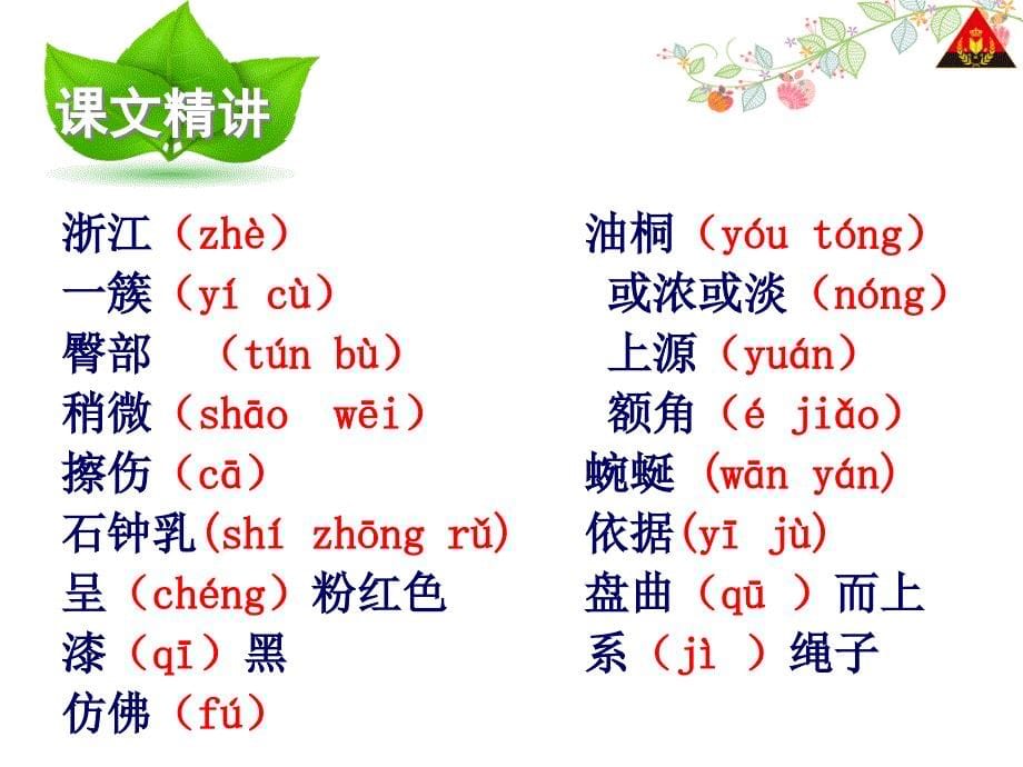 3记金华的双龙洞1_第5页