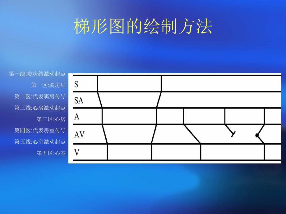 心电图的绘制.ppt_第4页