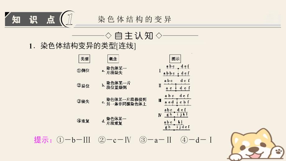 高中生物第五章基因突变及其他变异第2节染色体变异课件新人教版必修2_第3页