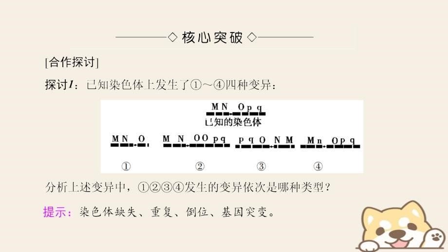 高中生物第五章基因突变及其他变异第2节染色体变异课件新人教版必修2_第5页