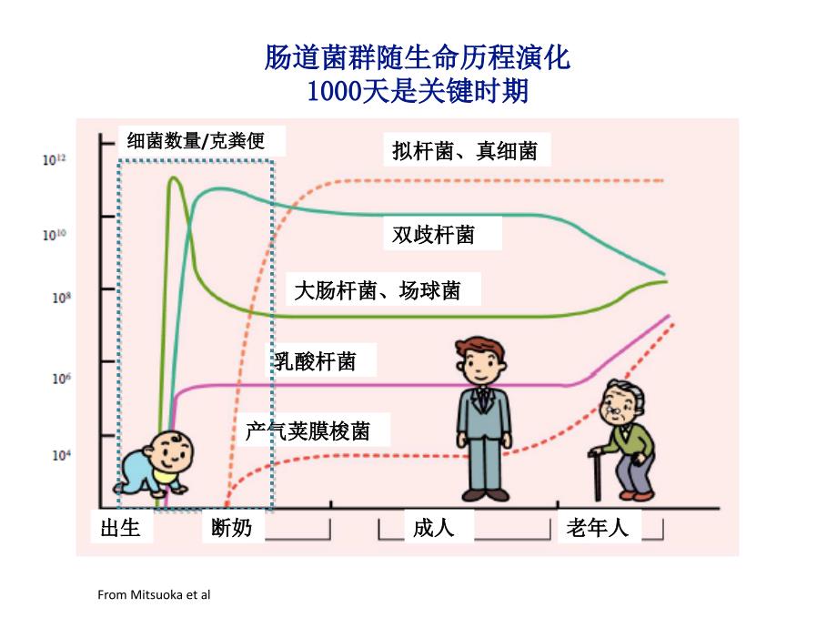 婴幼儿肠道菌群与健康_第4页