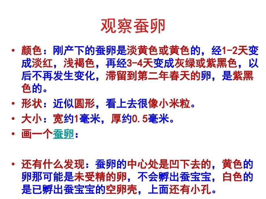 湘教版科学三下3.1蚕宝宝出生了ppt课件4[www.7cxk.net]_第5页