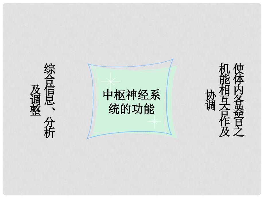 湖南省古丈县古阳中学七年级生物下册 12.2 神经调节课件 苏教版_第4页