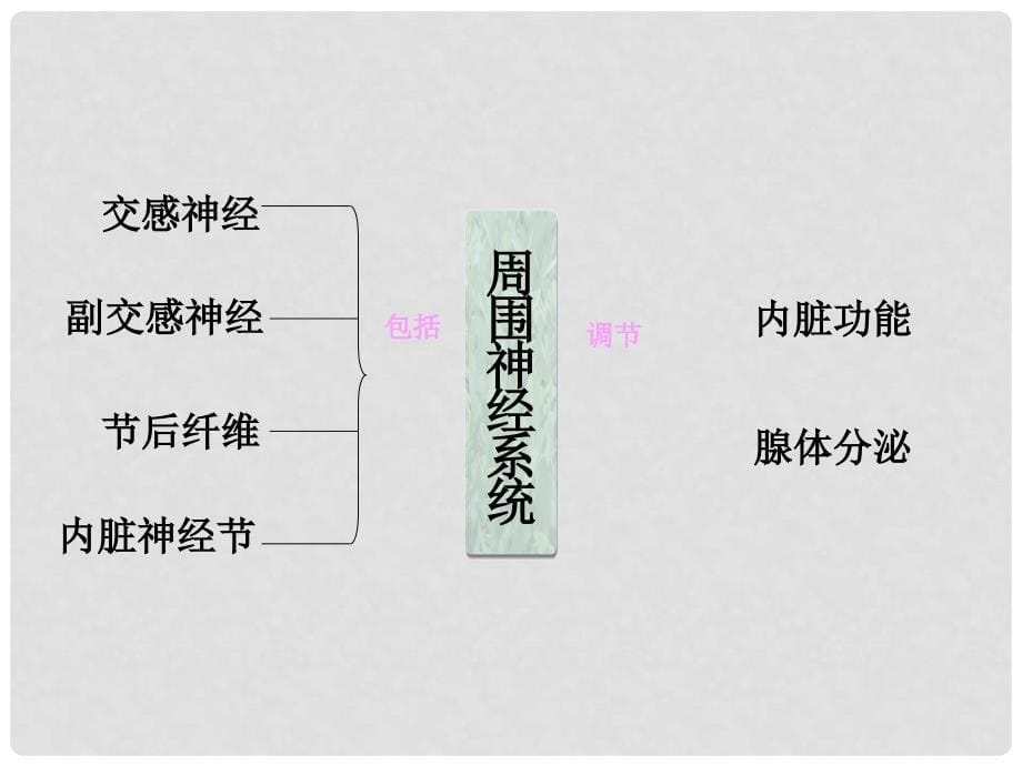 湖南省古丈县古阳中学七年级生物下册 12.2 神经调节课件 苏教版_第5页