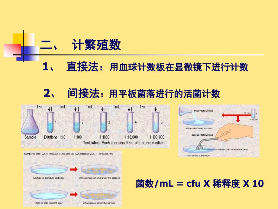 微生物学格式课件第六章微生物的生长及控制文档资料_第3页