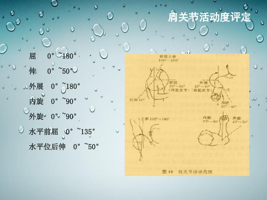 肩关节围手术期护理_第4页