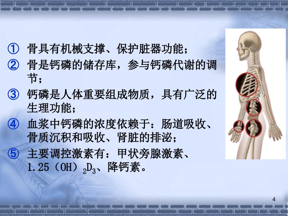 骨代谢异常的生物化学诊断_第4页