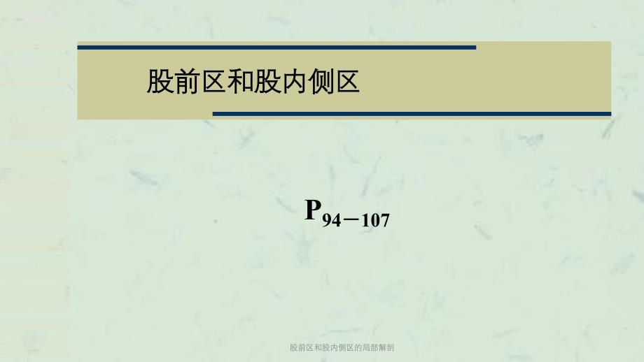 股前区和股内侧区的局部解剖课件_第1页