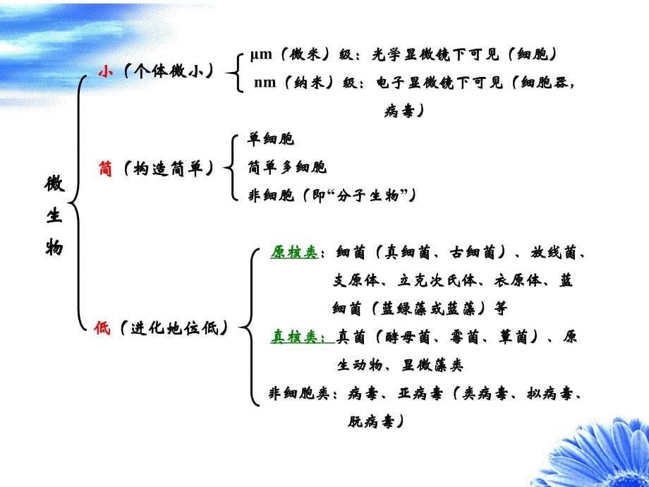 微生物学绪论课件_第5页