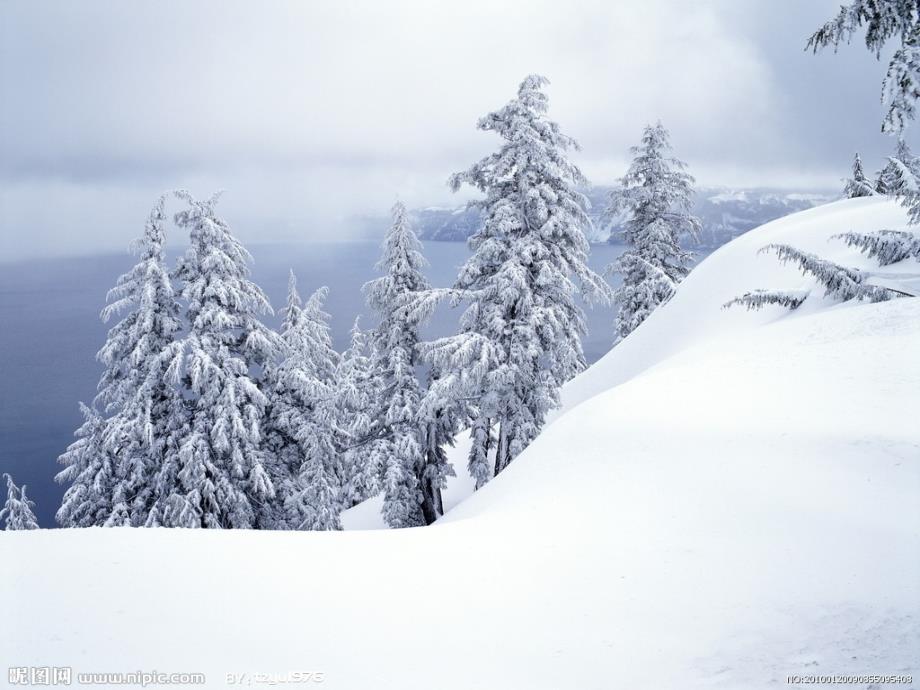 12部编版雪地里的小画家ppt课件_第4页