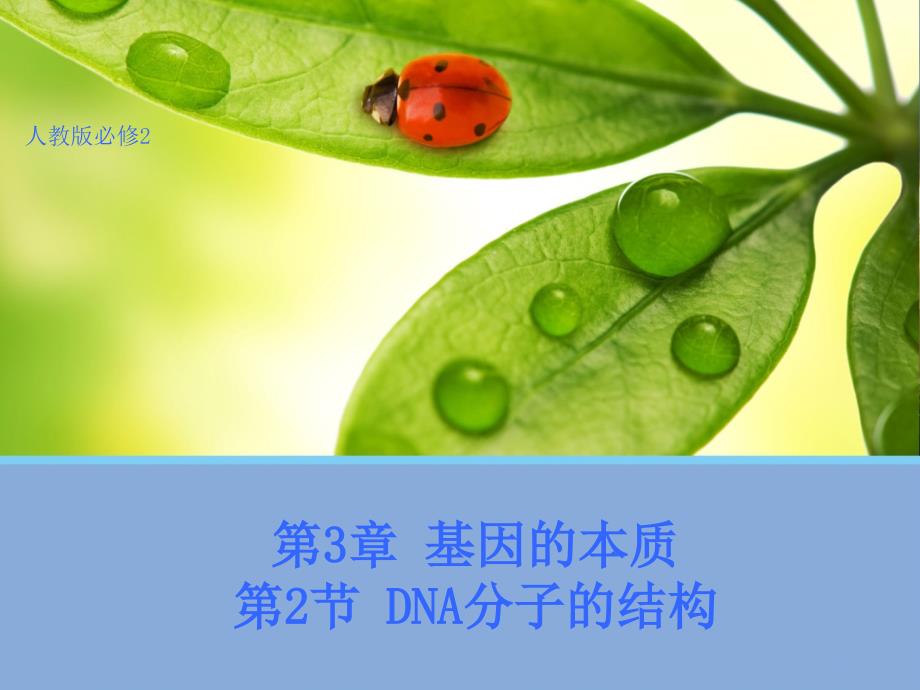 【生物】3.2DNA分子的结构 课件(人教版必修2_第1页