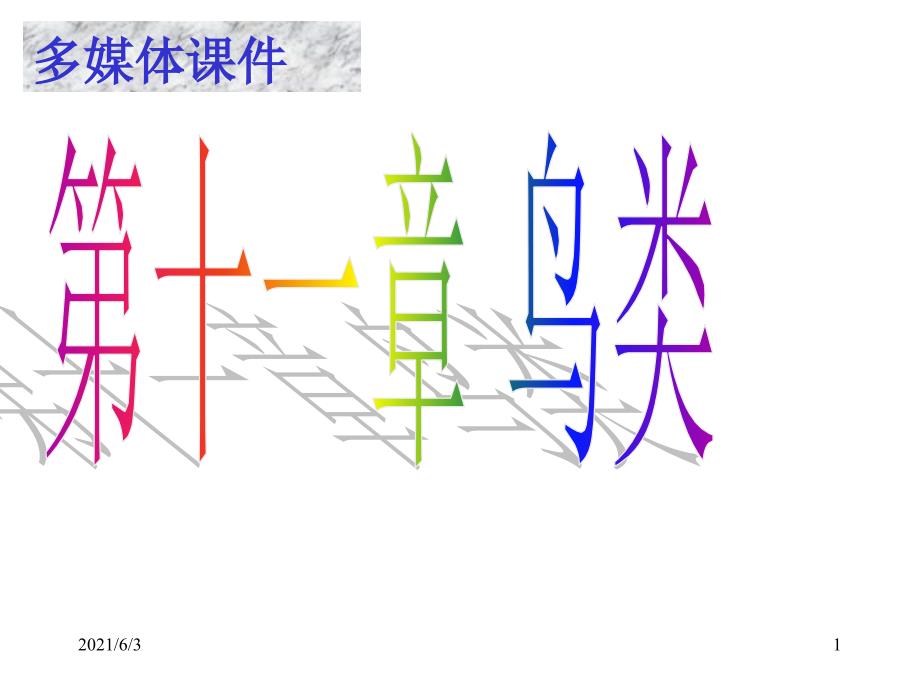 家鸽的形态结构1人教版_第1页