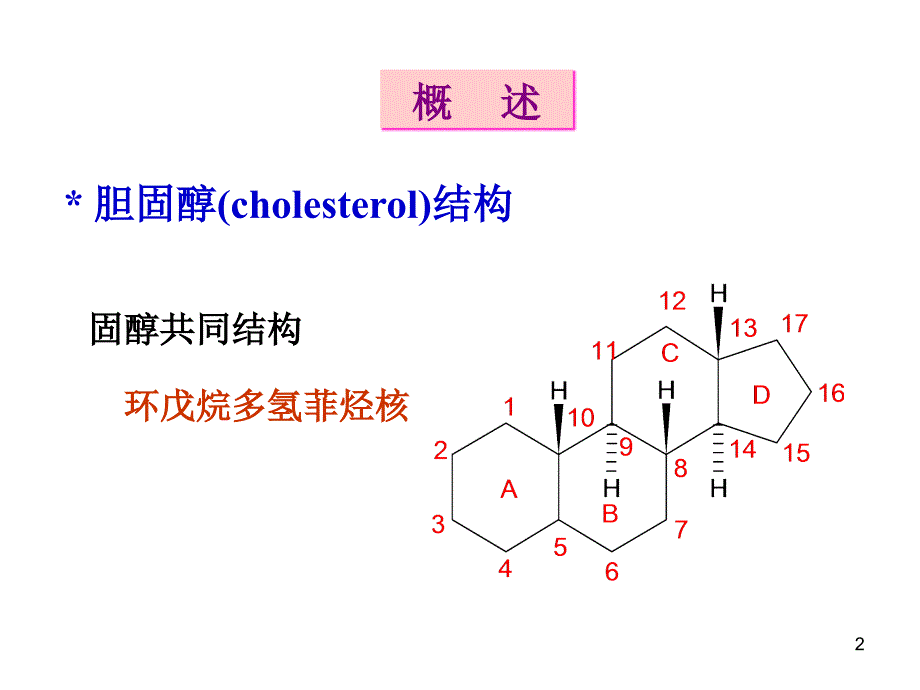 胆固醇代谢脂蛋白ppt课件_第2页