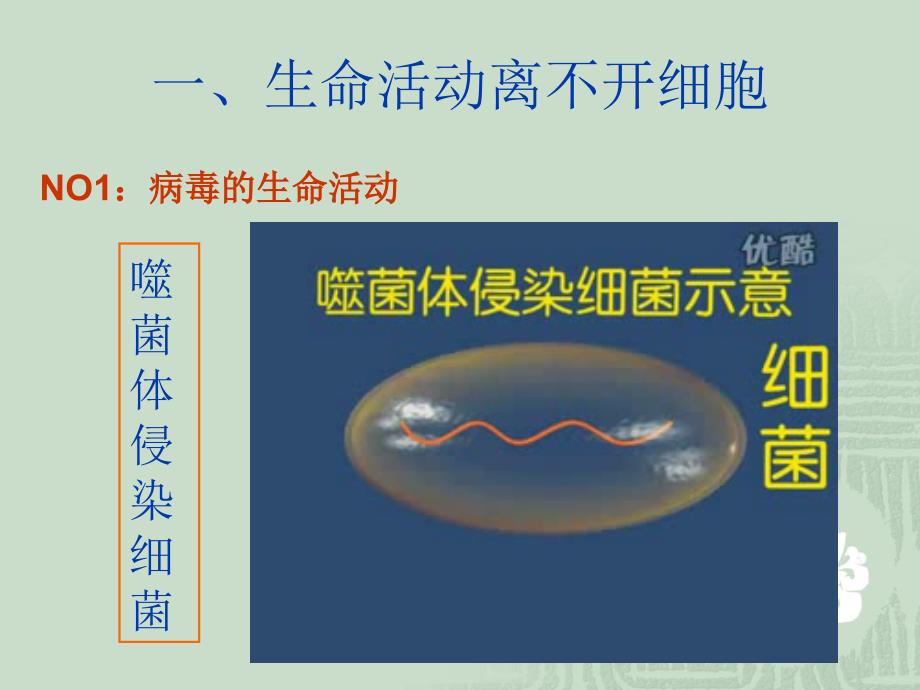 【生物】11从生物圈到细胞课件1（人教版必修1）_第3页