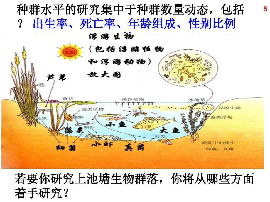 必修三43群落的结构_第5页