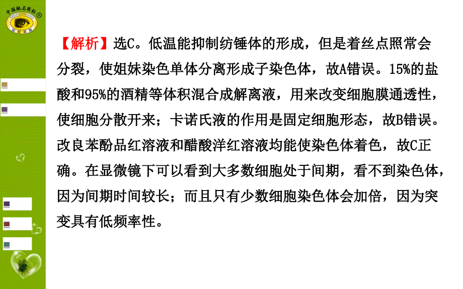 实验11低温诱导植物染色体数目的变化_第4页