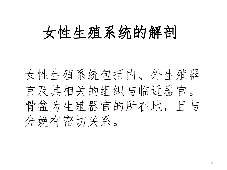 女性生殖系统图解PPT精选文档_第2页