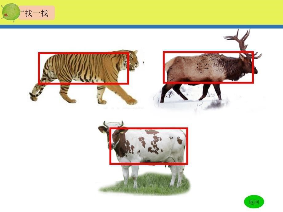 新湘版美术三年级上册《方方圆圆》_第5页