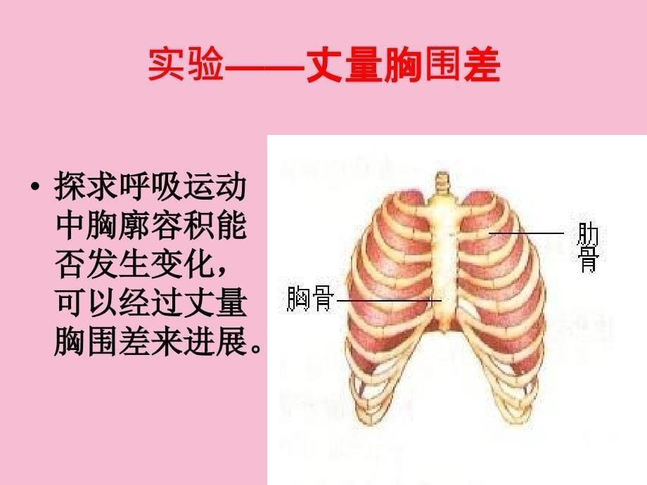 初一理化生七年级生物上册第二节发生在肺内的气体交换ppt课件_第5页