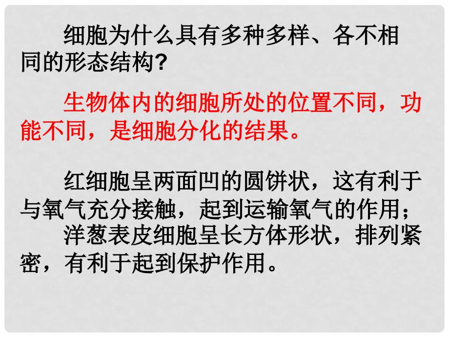 河北省邯郸四中高二生物《12细胞的多样性和统一性》课件_第4页