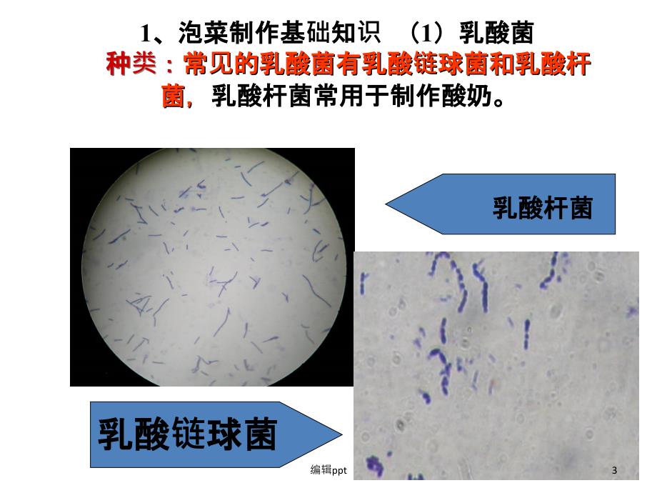 泡菜的制作和亚硝酸盐的检测_第3页