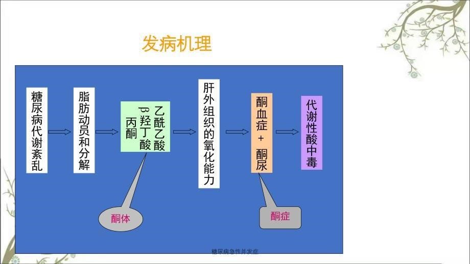 糖尿病急性并发症_第5页