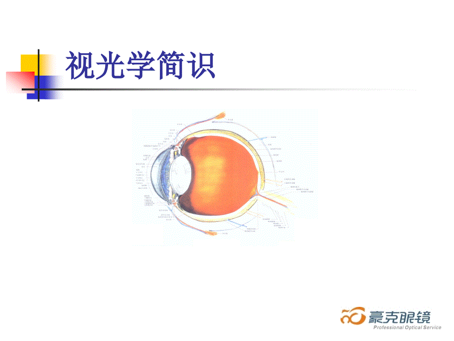 初级验光员培训教程.ppt_第1页