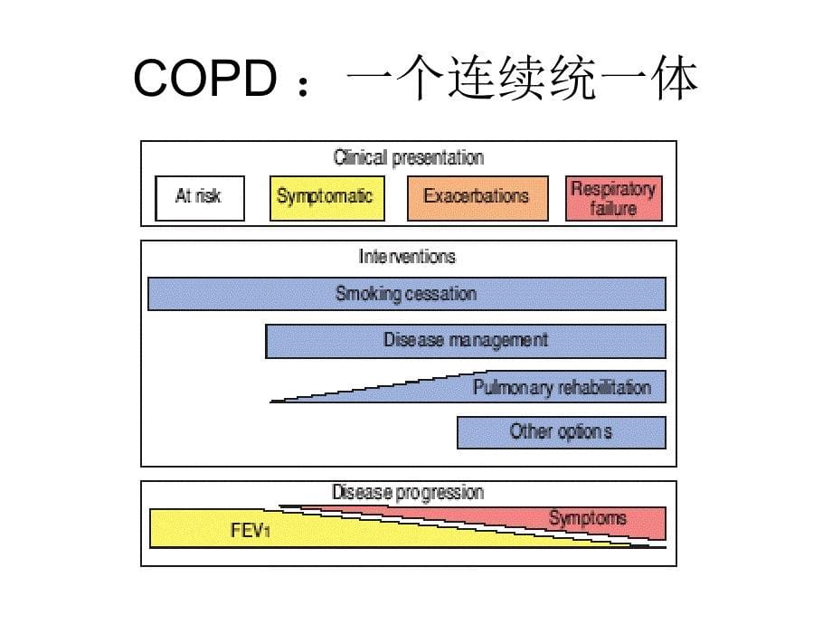 copd的诊断和治疗 ppt课件数学_第5页