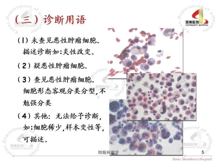 细胞病理学课件_第5页