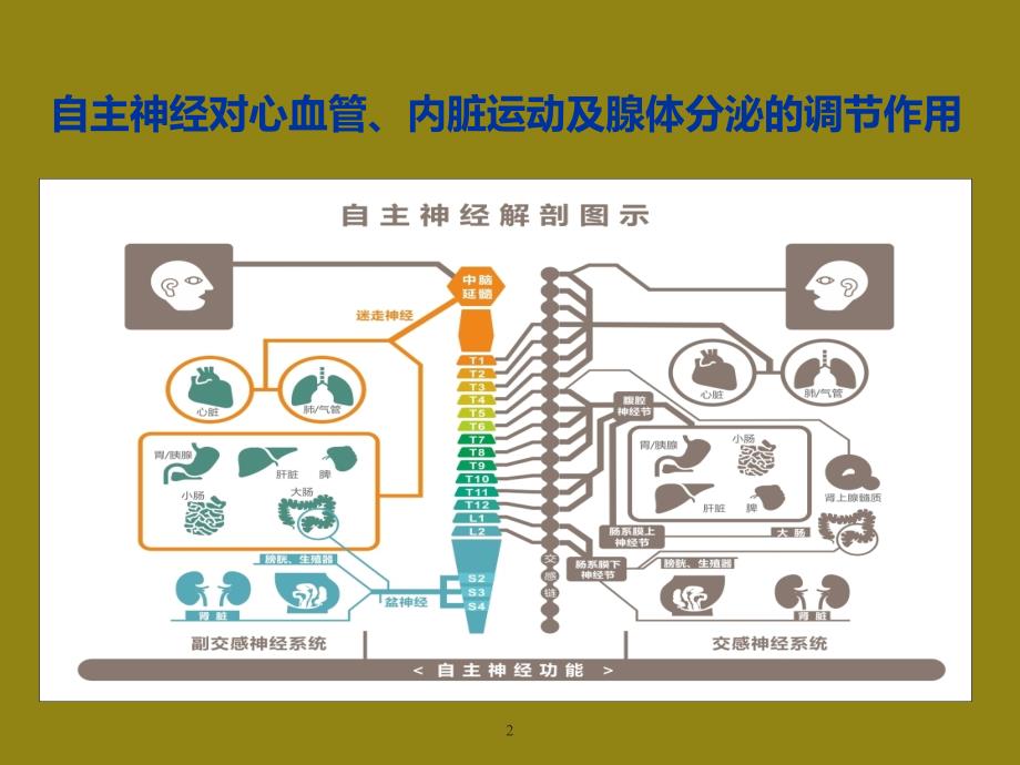 长托宁利于全麻醉管理_第2页