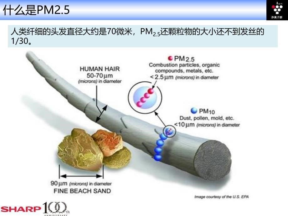 4月夏普空气净化器培训资料to市场（PPT）_第5页