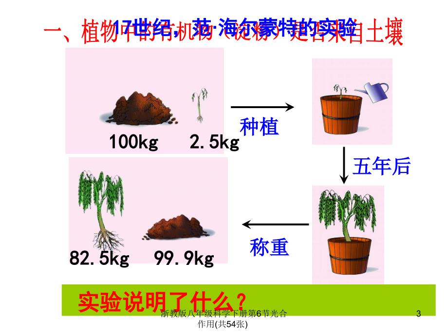 浙教版八年级科学下册第6节光合作用共54张课件_第3页